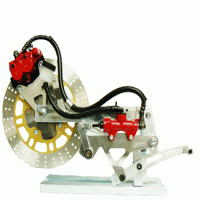 REARDISC1.gif