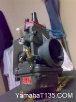 10112008223 (Small).jpg
