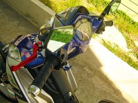 IMG_4012t135.jpg