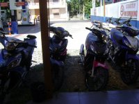 DSC05590.JPG
