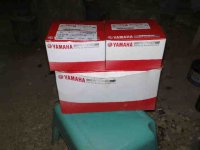 15122009779.jpg