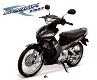 spark135.jpg