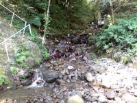 DSC08876.JPG