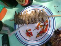 DSC08906.JPG