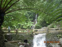 DSCN1466.JPG