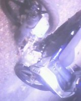 IMG0293A.jpg