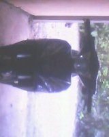 IMG0292A.jpg