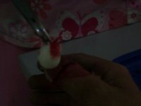 IMG_040111_0002.jpg