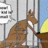 dencel